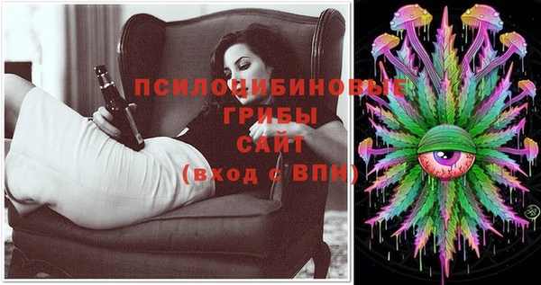 прущая мука Богородицк