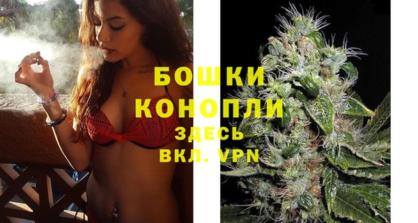 каннабис Богданович