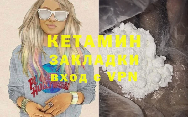 индика Гатчина