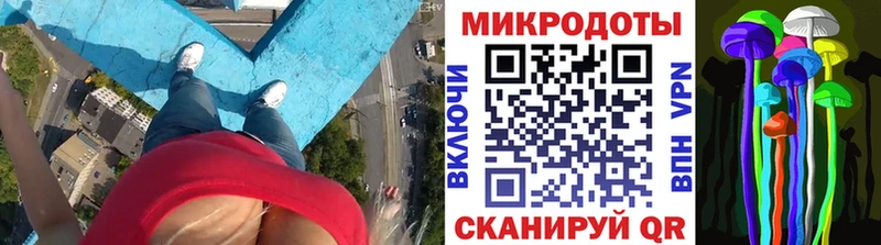 Галлюциногенные грибы Cubensis  blacksprut как войти  Коммунар 